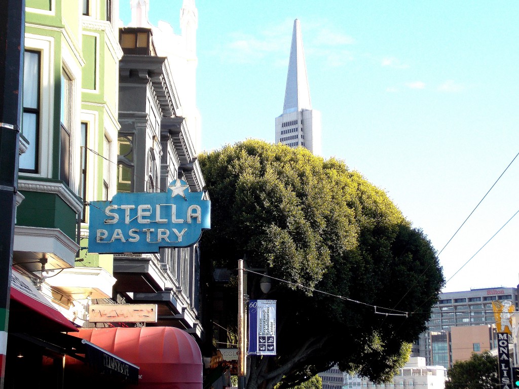 Sunny Day in San Francisco; Stella Pastry; Tree; blue sky