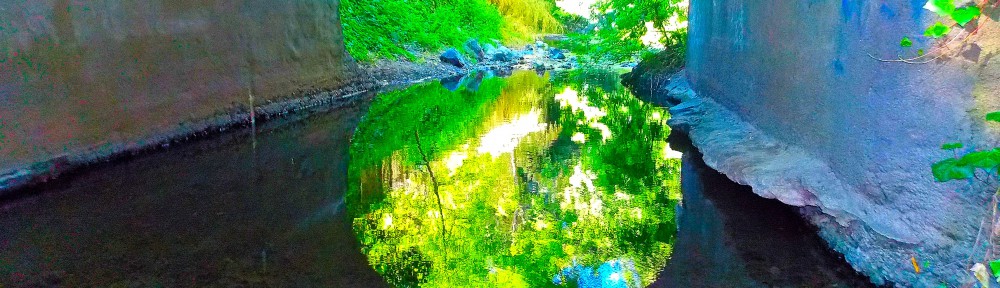 Reflections; creek; water; bridge