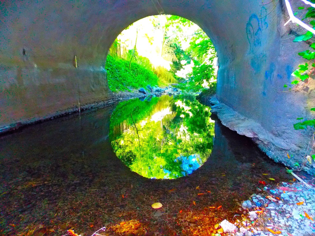 Reflections Under the Bridge  