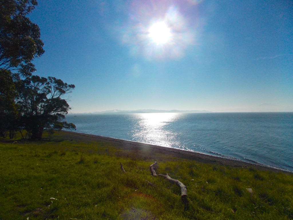 Calm Day On The Bay